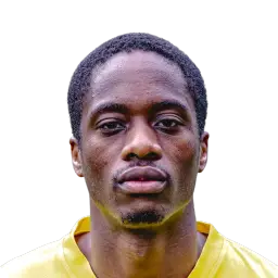 Terence Kongolo