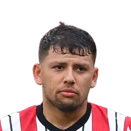 Gustavo Hamer