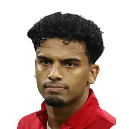 Owen Wijndal
