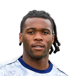 Destiny Udogie