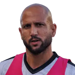 Angelo Pelegrinelli Net