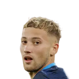 Theo Fonseca