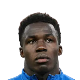 Wilfried Gnonto
