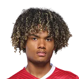 Aaron Malouda