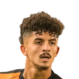 Mohamed Belloumi