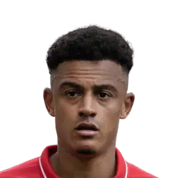 Dan Ndoye