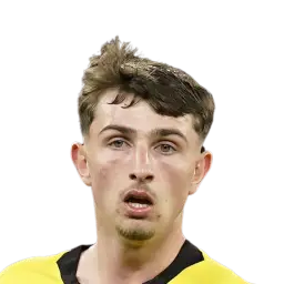 Rocco Vata