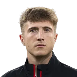 Mikel Jauregizar
