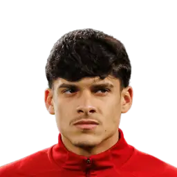 Guilherme Neiva