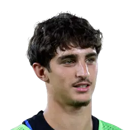 Matteo Cocchi