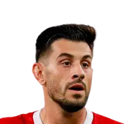 Luís Miguel Afonso Fernandes